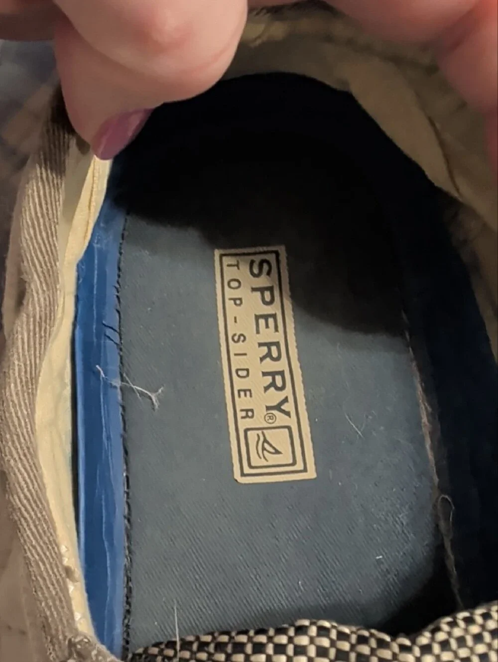 Sperry casual canvas